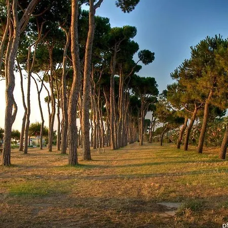 Il Faro - Pineto